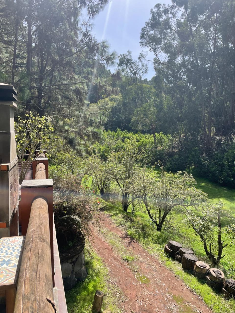 Natural landscape, Garden view