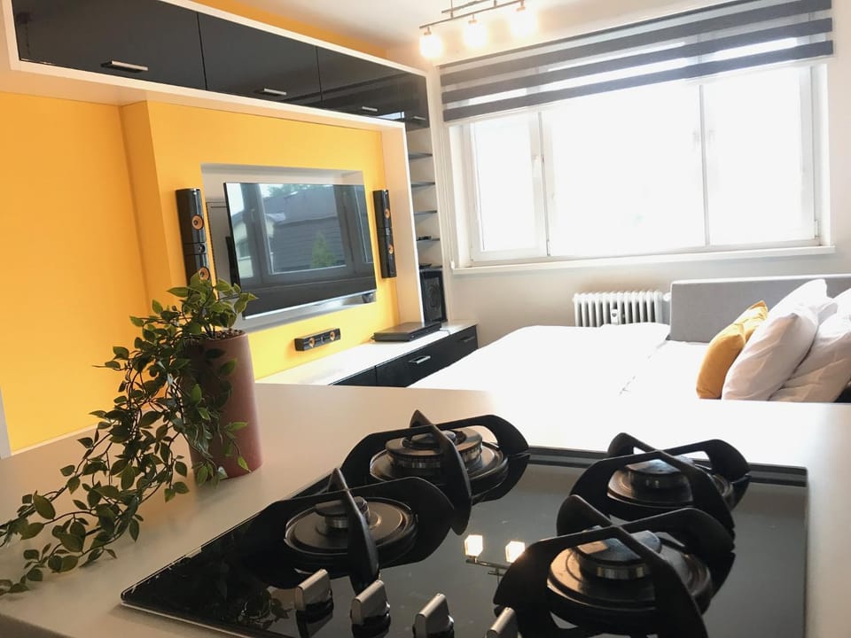 Communal lounge/ TV room, TV and multimedia