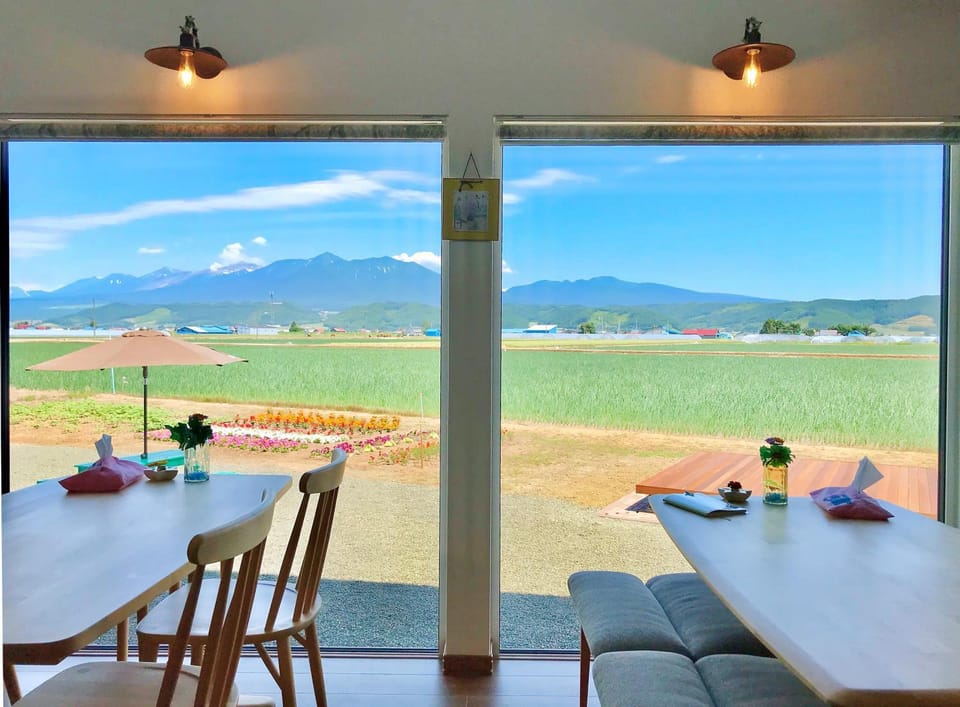 Natural landscape, Summer, View (from property/room), Dining area, Mountain view