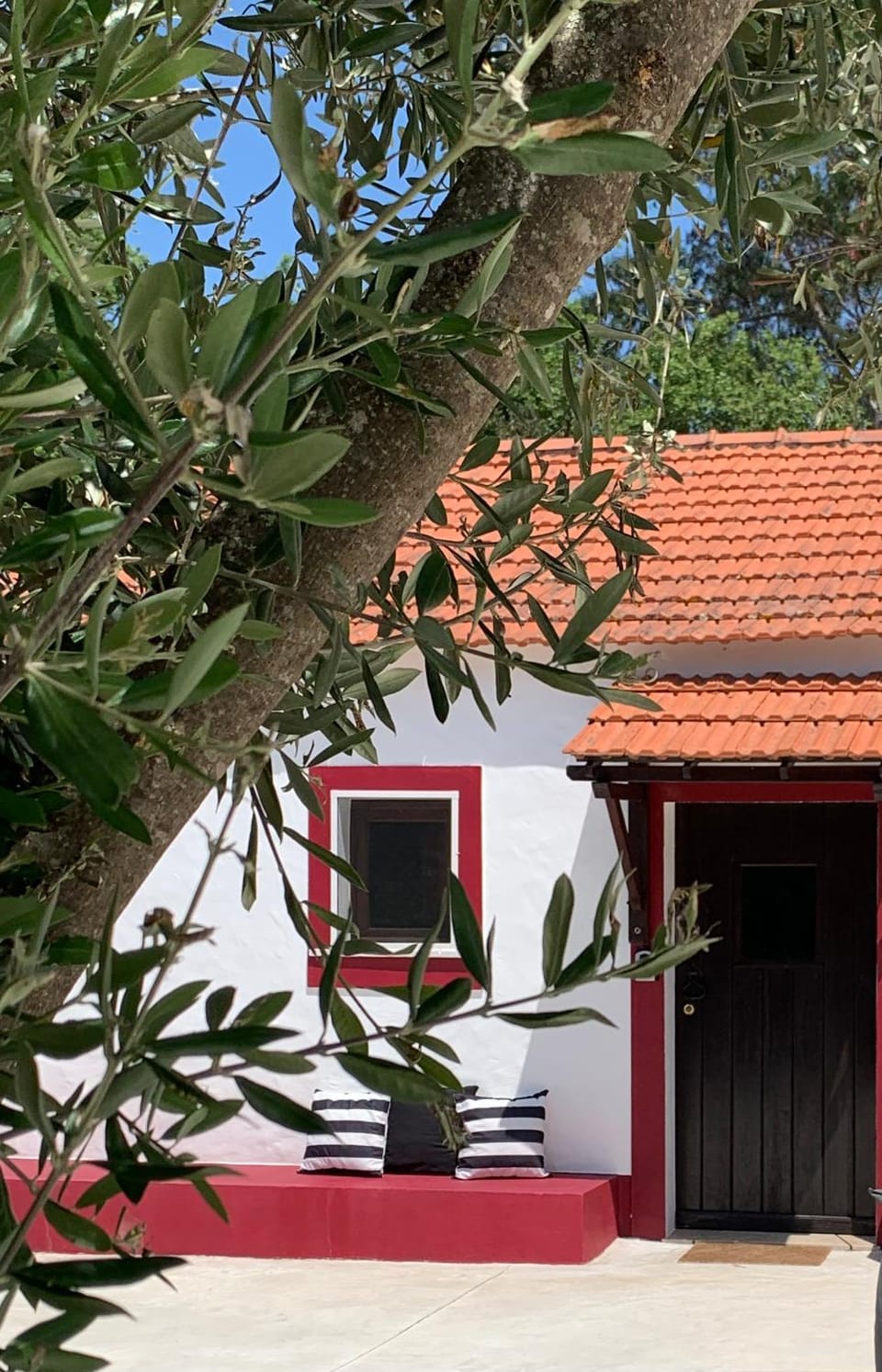 Monte do Pereiro House in Setubal District