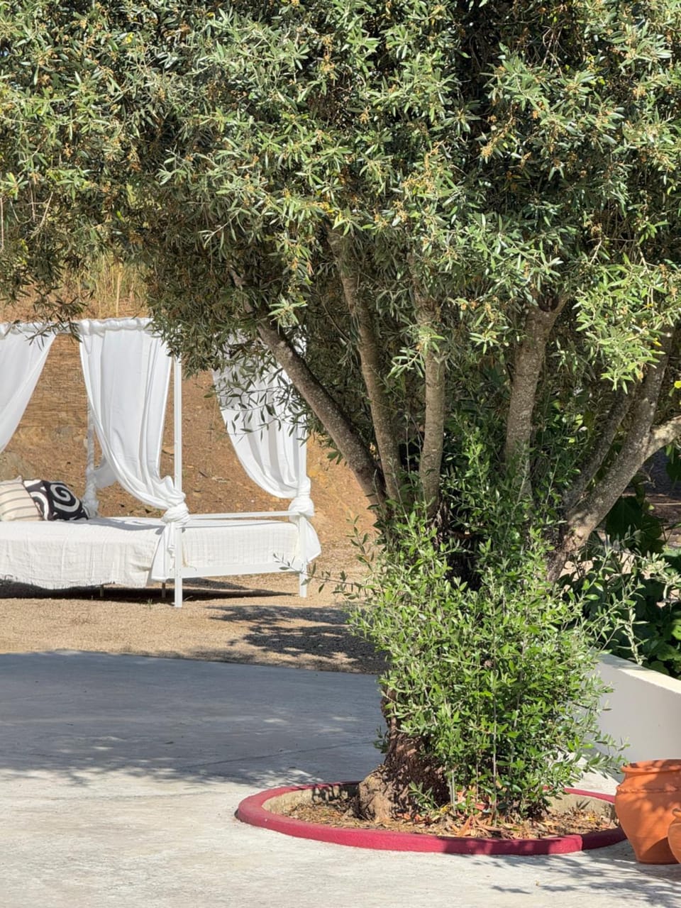 Monte do Pereiro House in Setubal District