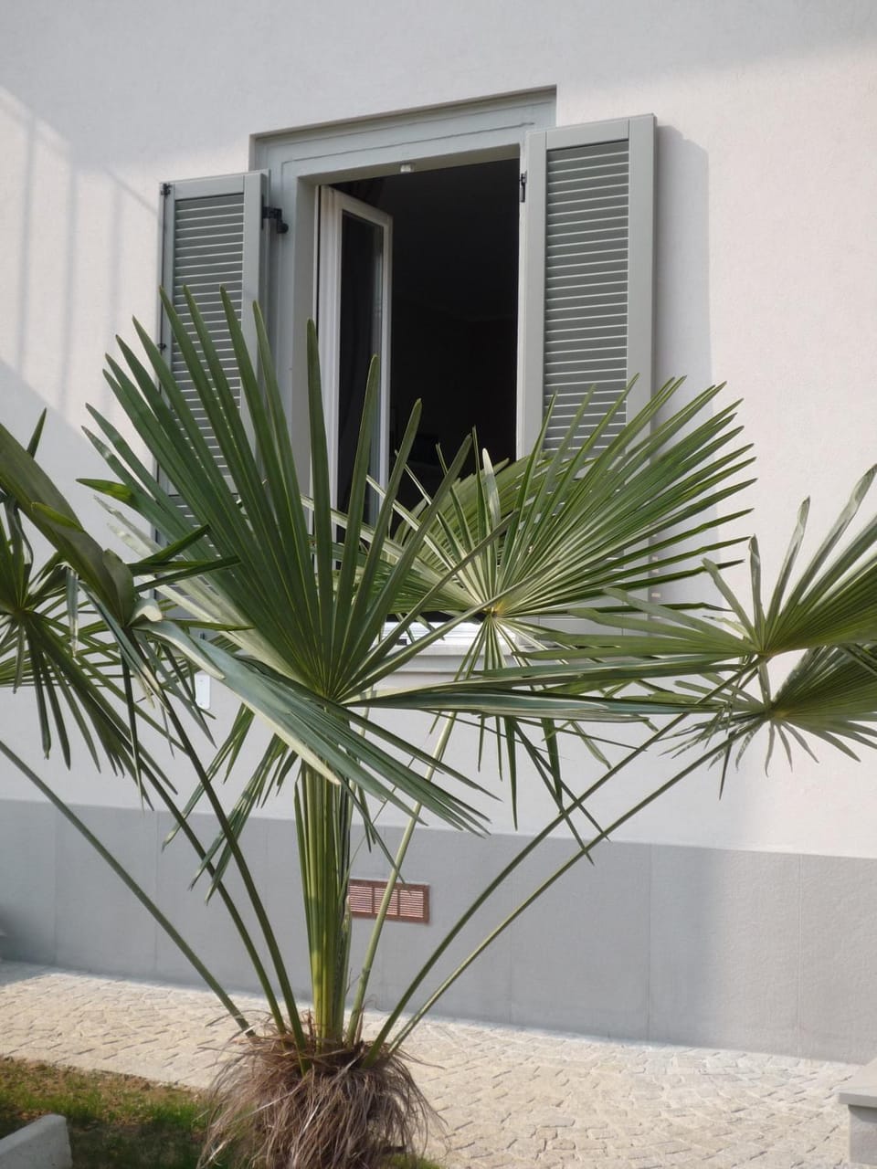 Facade/entrance, Decorative detail, Garden view