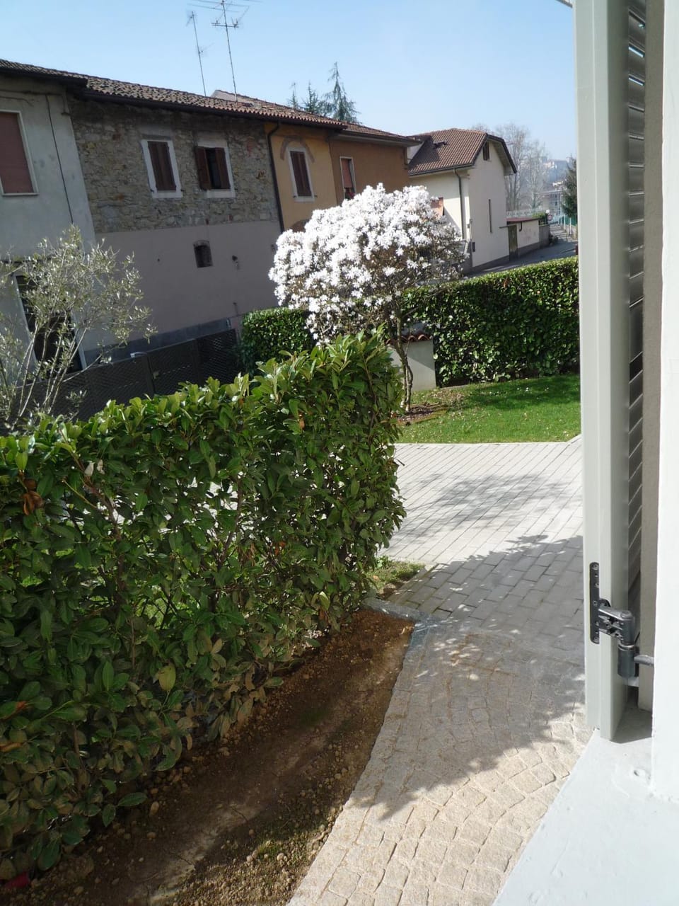 Garden, Garden view, Street view
