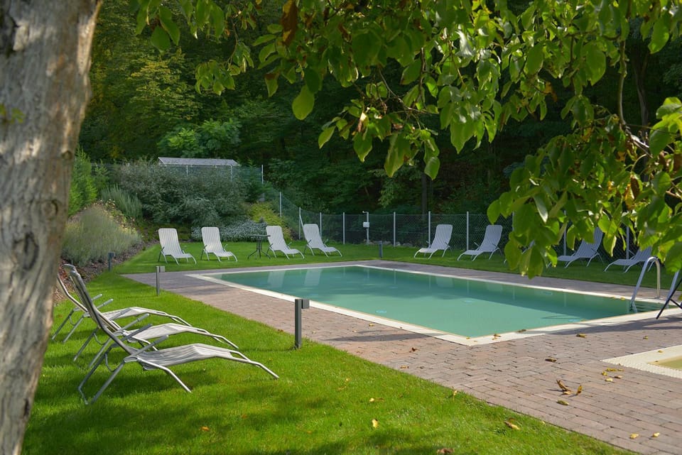 Garden, Swimming pool