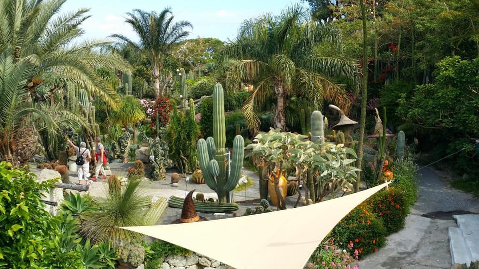 Day, Natural landscape, Garden, Garden view, Street view, Quiet street view