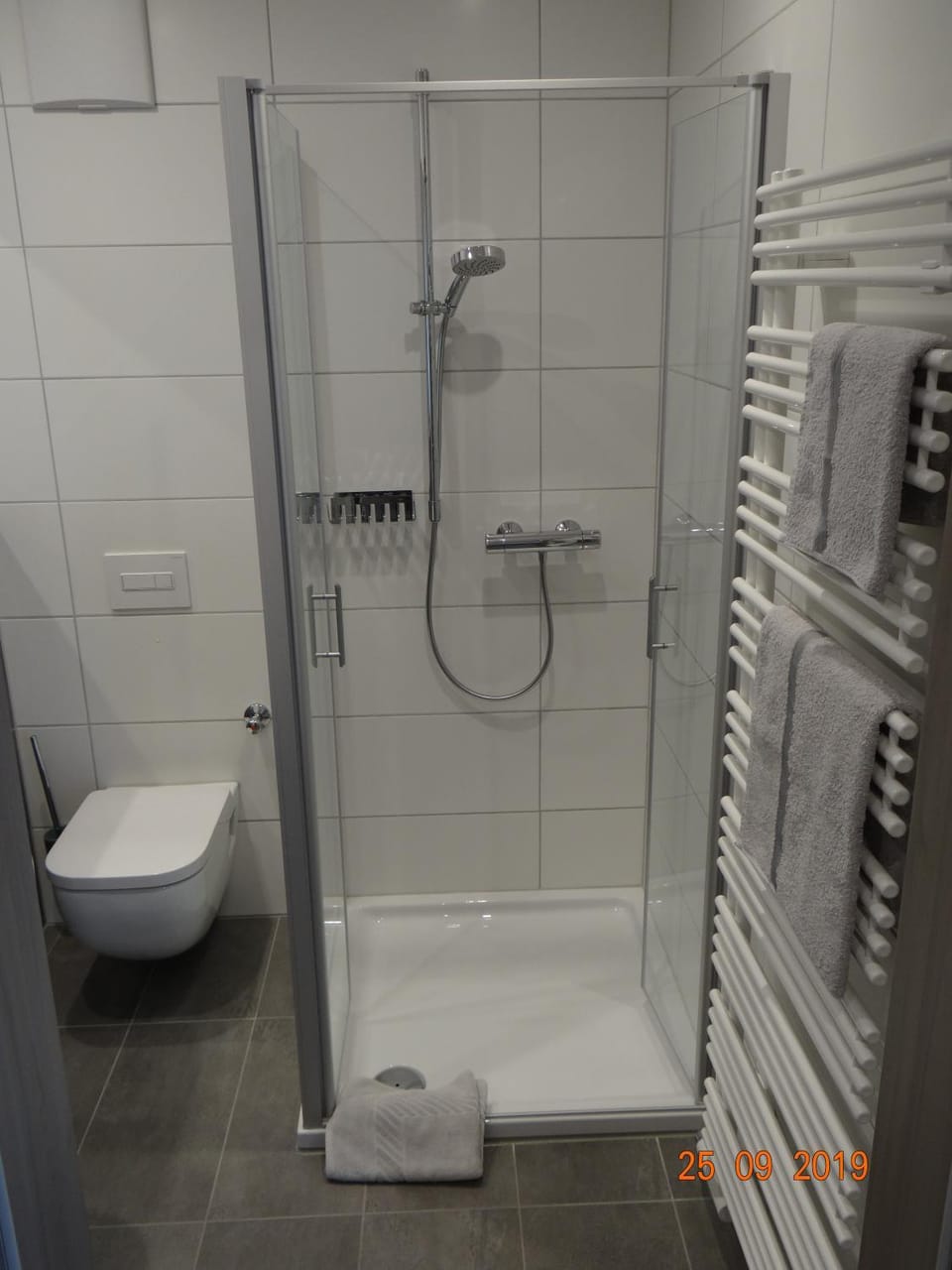Shower, Toilet, Bathroom, towels