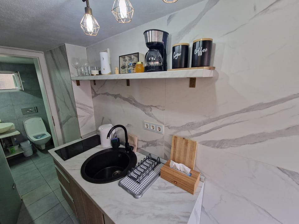 Coffee/tea facilities, Kitchen or kitchenette, minibar, stove
