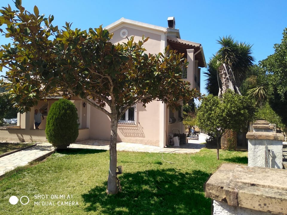 Property building, Facade/entrance, Garden