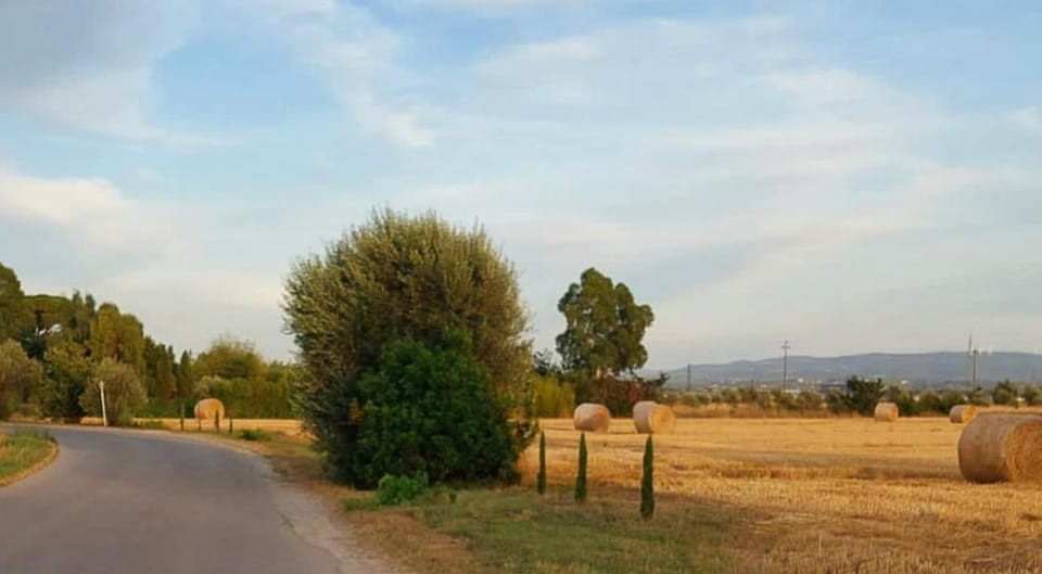 Day, Neighbourhood, Natural landscape, View (from property/room)