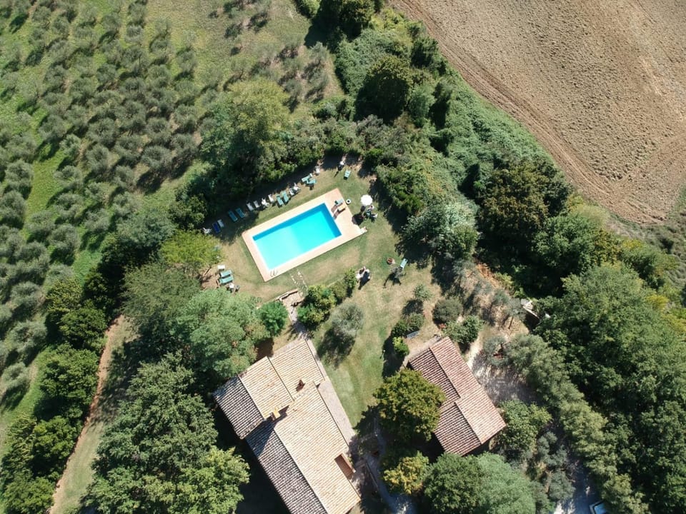 Bird's eye view, Swimming pool
