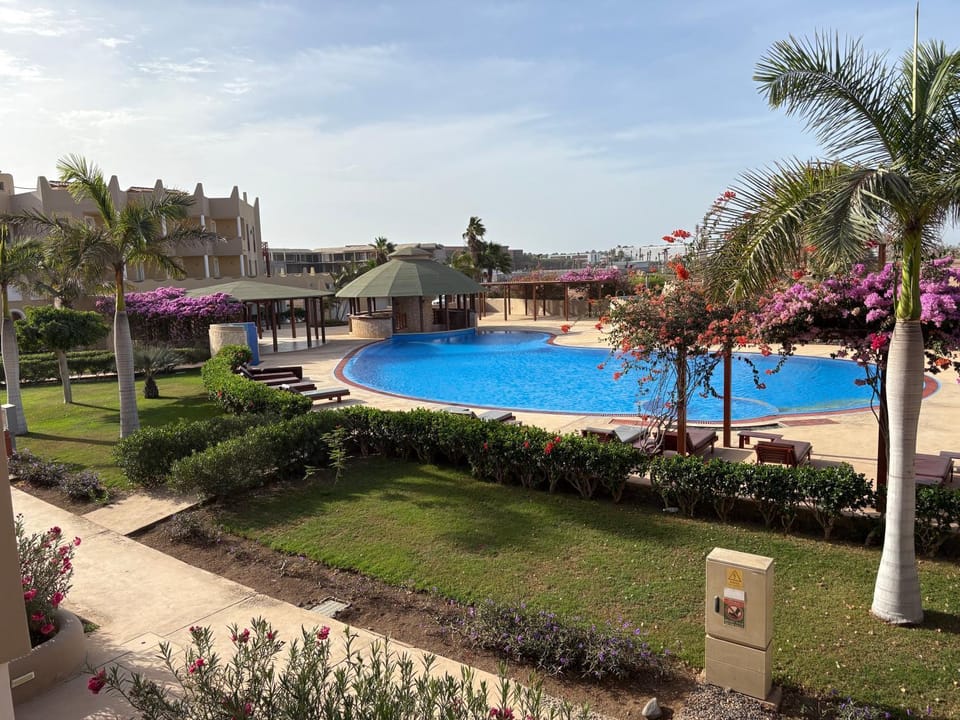 Garden, Garden view, Pool view, Swimming pool, sunbed
