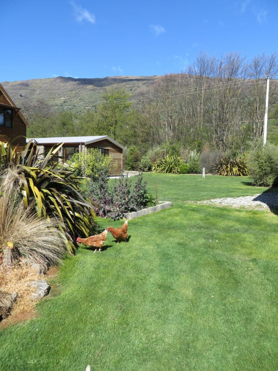 Quiet studio in Paradise House in Wanaka