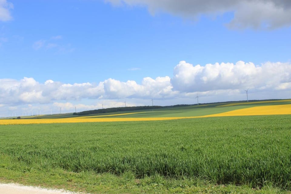 Natural landscape