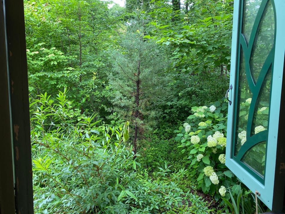 View (from property/room)