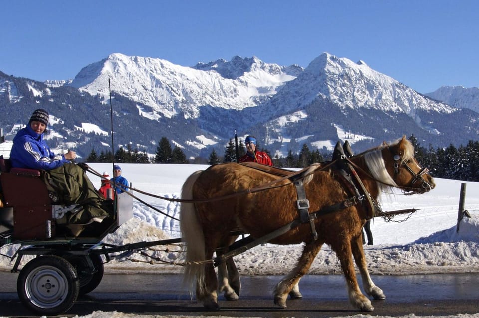Horse-riding, Animals