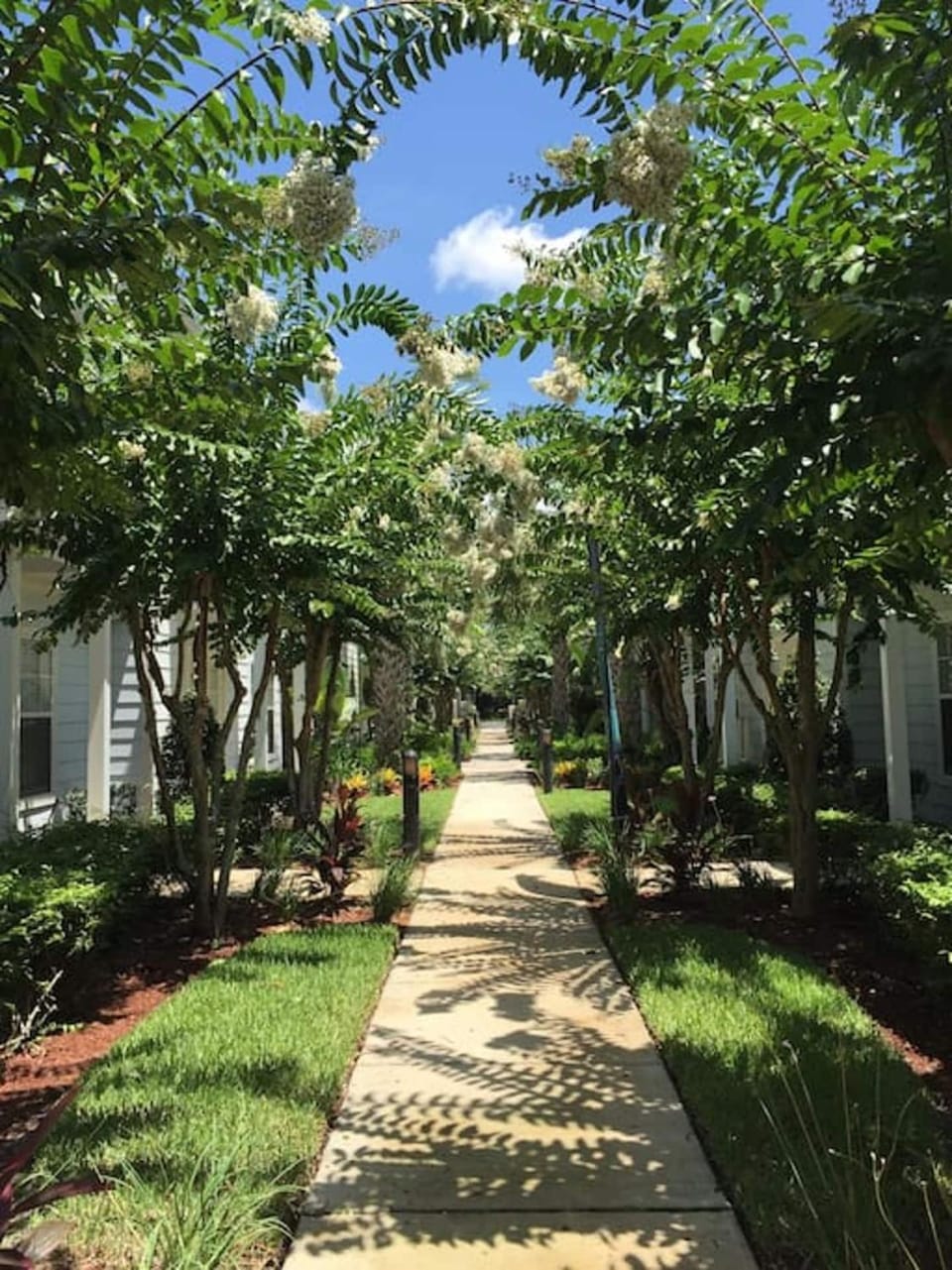 3 Bedroom townhouse in luxury Resort, sleeps 8, 10 min to Disney! House in Four Corners