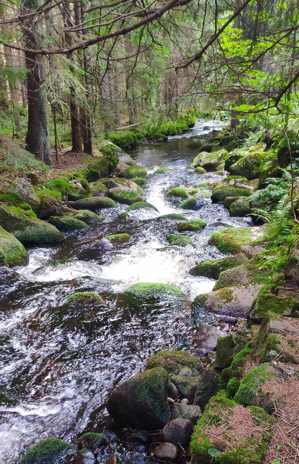 Natural landscape, Hiking