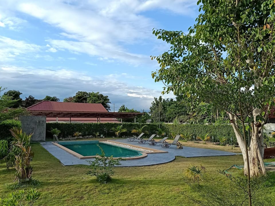 Day, Natural landscape, Garden, Garden view, Pool view, Swimming pool, sunbed