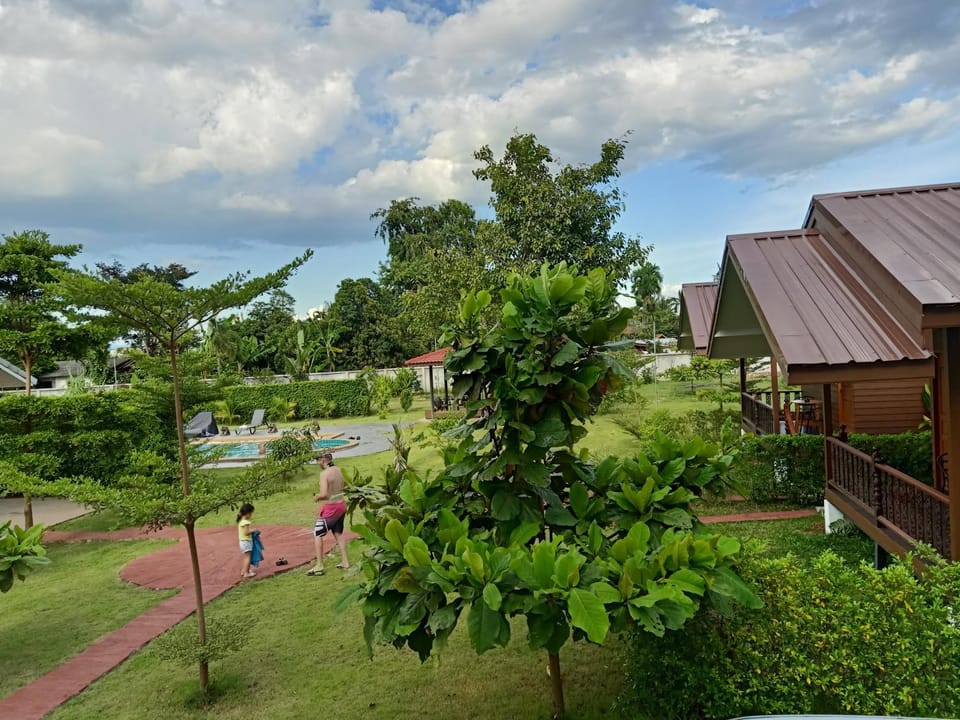 Natural landscape, Garden, Garden view