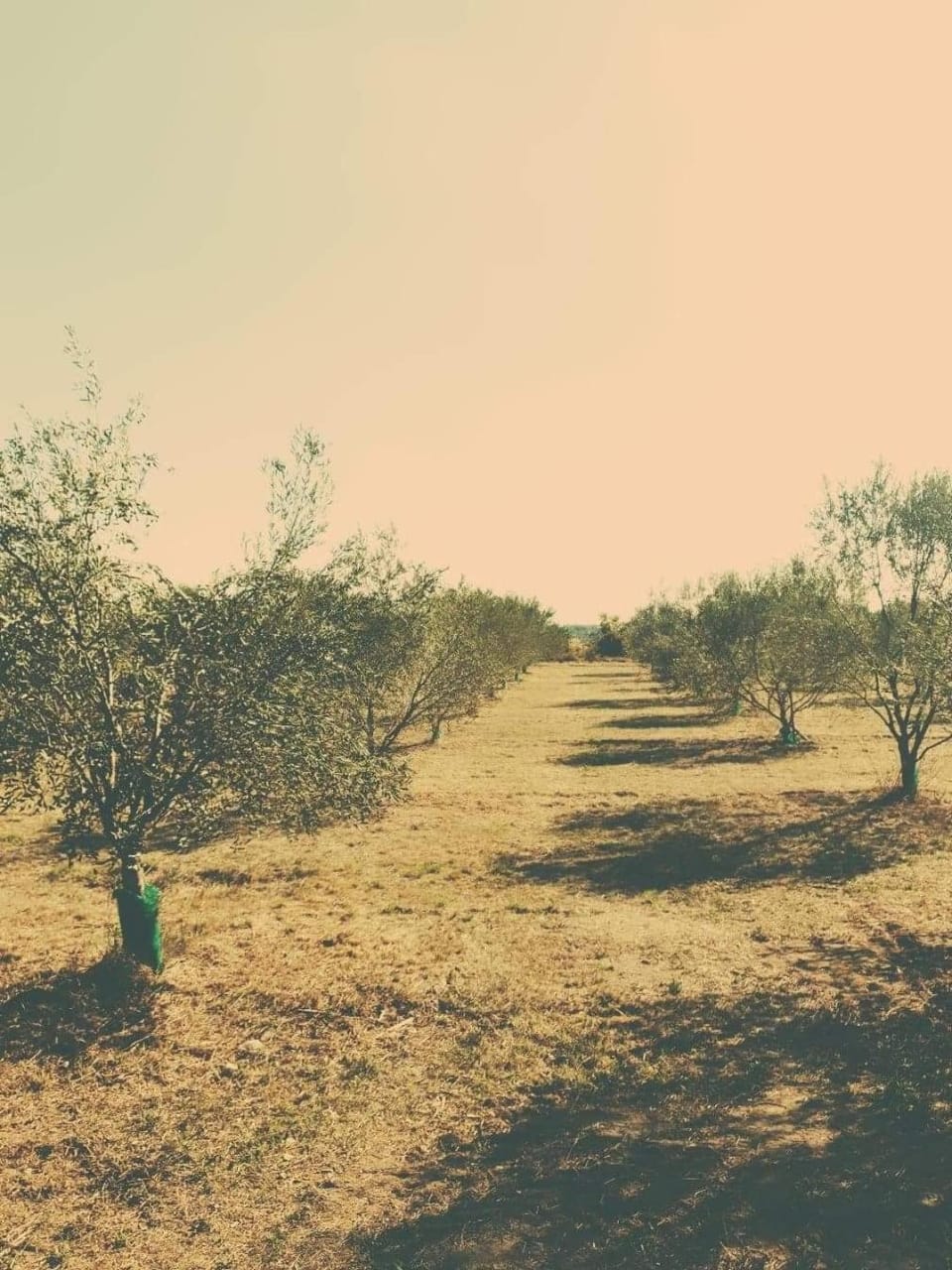 Spring, Natural landscape