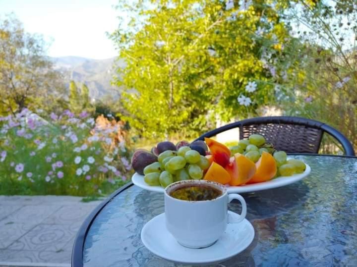 Day, Garden, Mountain view