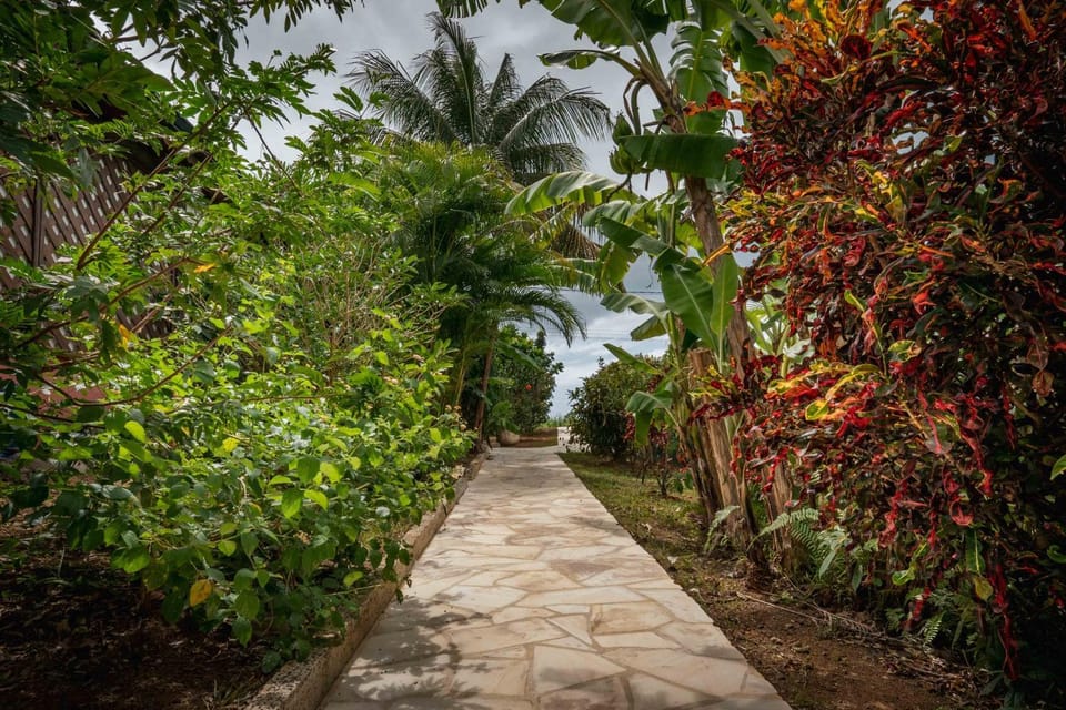 Garden, Garden view