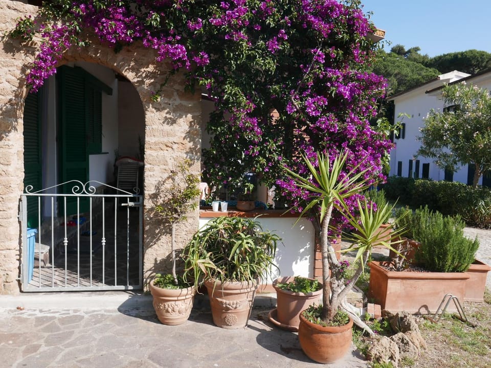 Facade/entrance, Natural landscape