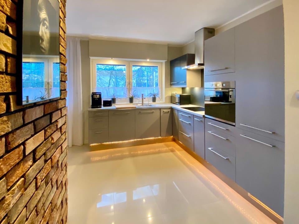 Kitchen or kitchenette, minibar, pet friendly, stove