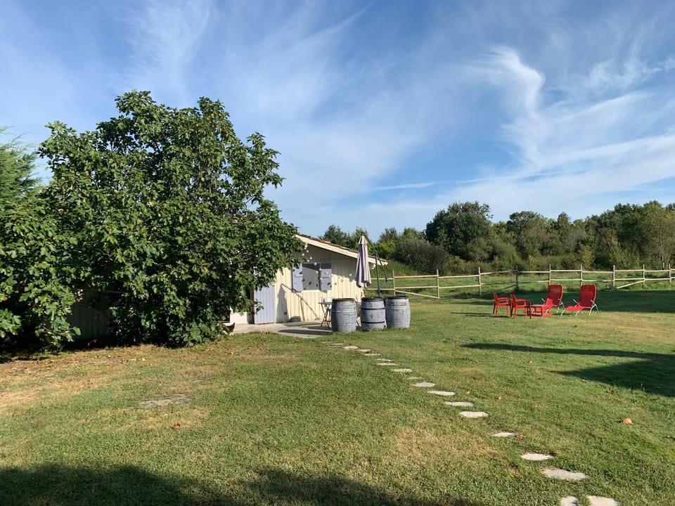 Gîte indépendant entre vignes et océan House in Nouvelle-Aquitaine
