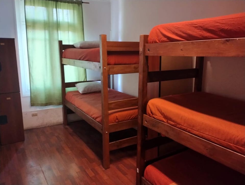 Wild Bellavista Hostel Hostel in Providencia