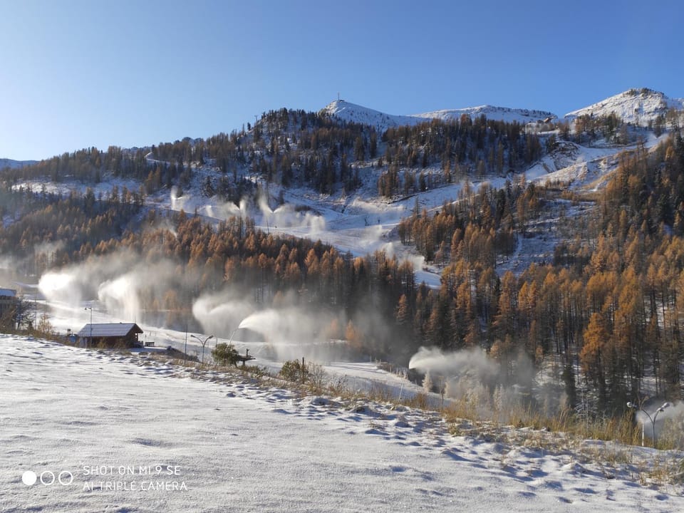 LES CHATAIGNIERS GRIS Apartment in Isola