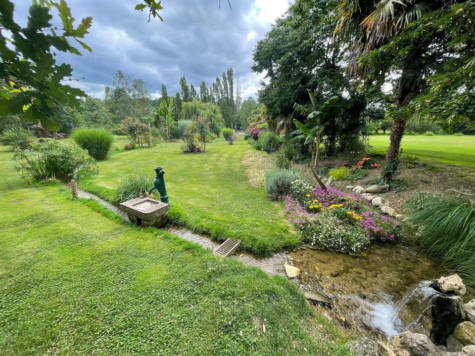 Garden, Garden, Garden view