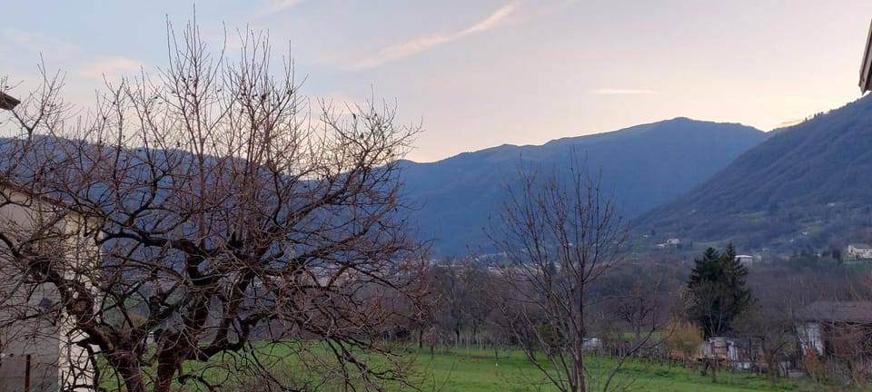Mountain view