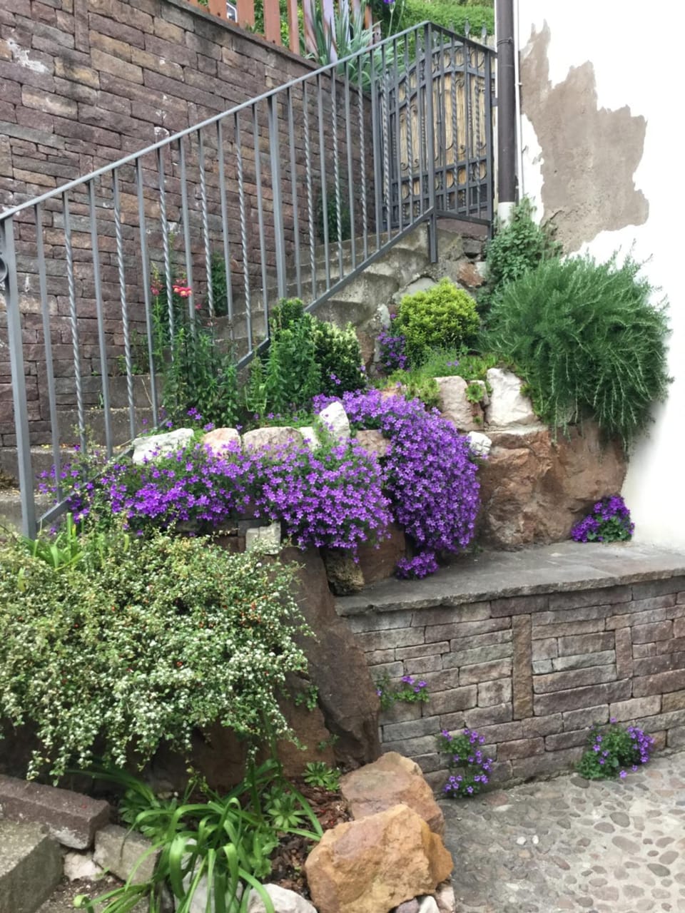 Spring, Garden