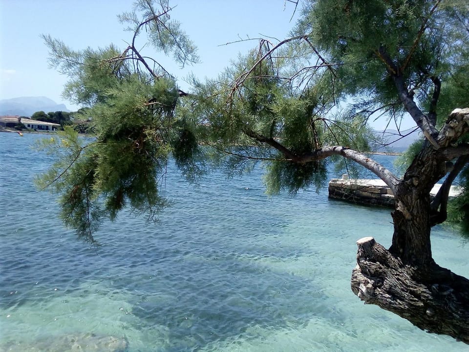 Natural landscape
