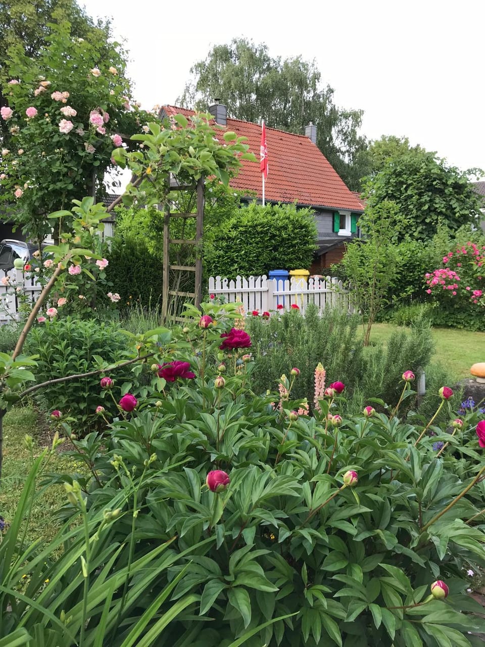 Property building, Garden