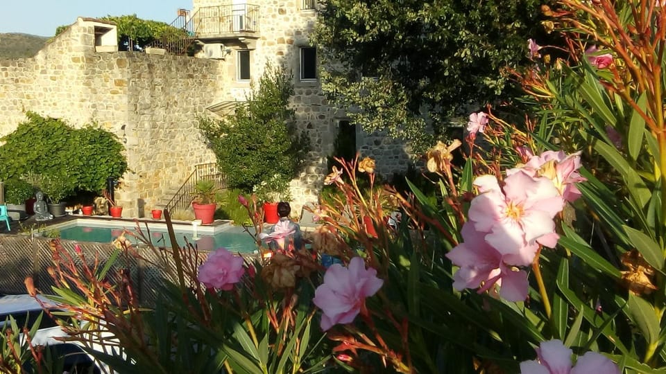 Garden, Swimming pool