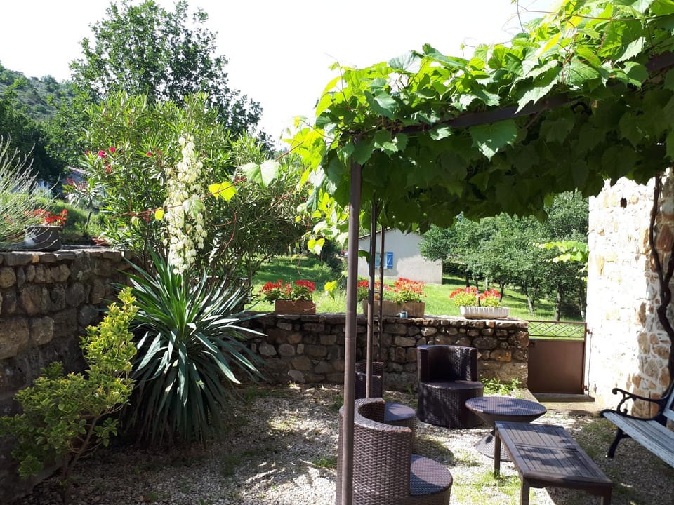 Patio, Garden