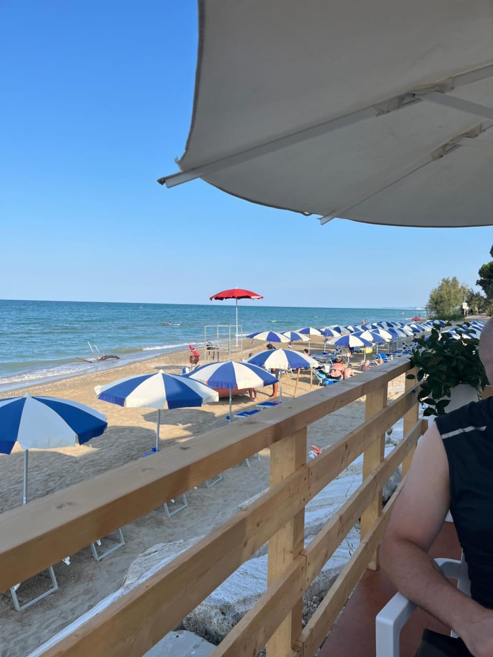 BOUGANVILLE casa vacanza ambiente climatizzato con wi fi Apartment in Pineto