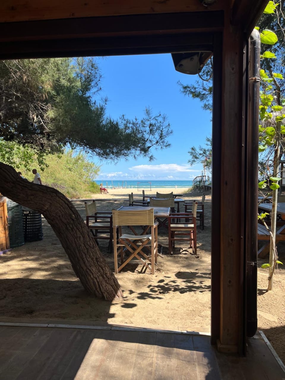 BOUGANVILLE casa vacanza ambiente climatizzato con wi fi Apartment in Pineto