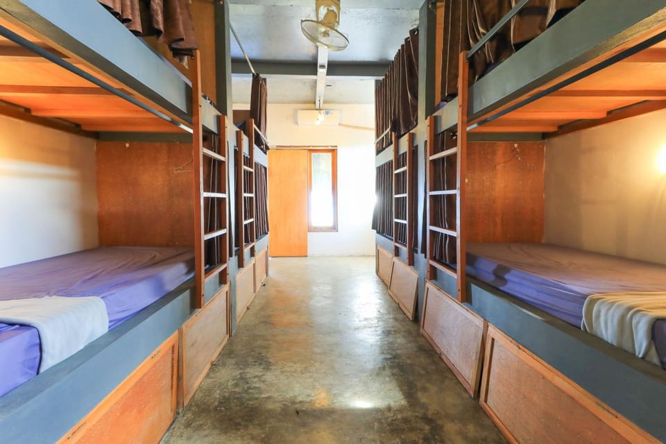 bunk bed