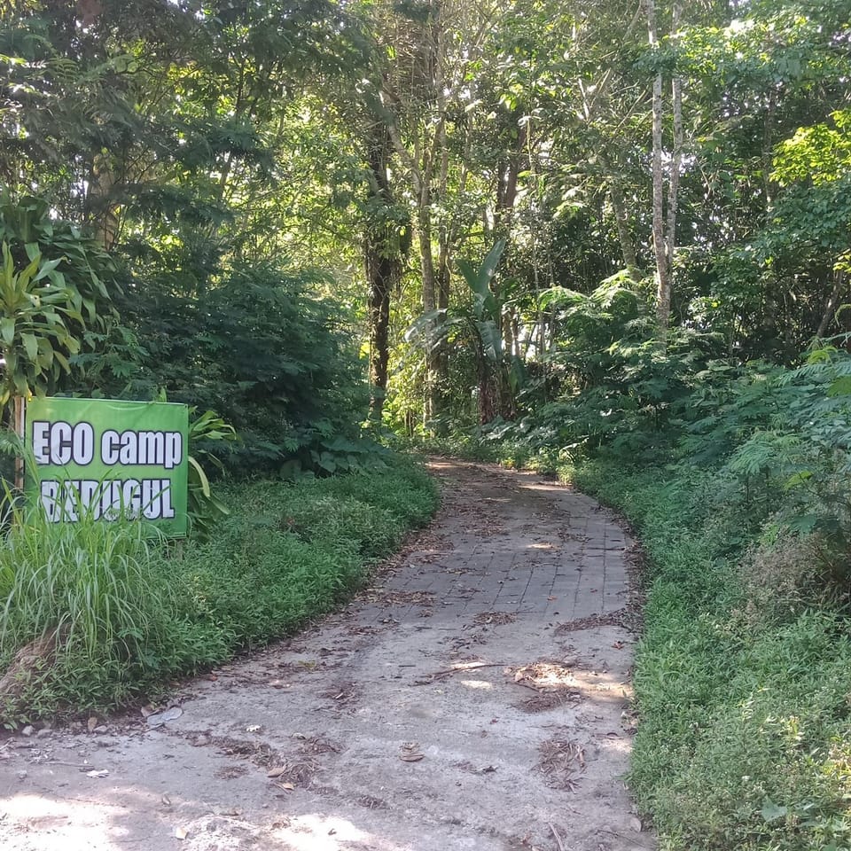ECO Bedugul adventurer camp Bed and Breakfast in Bali