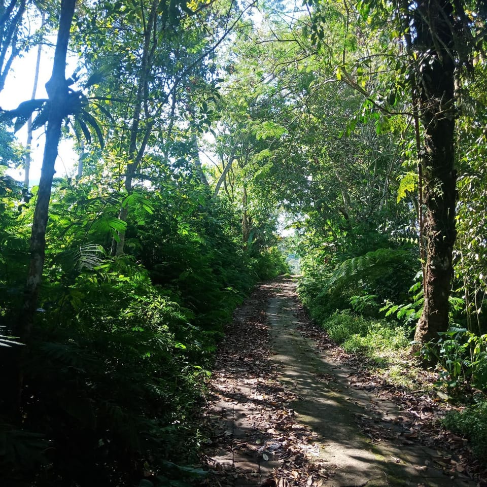 ECO Bedugul adventurer camp Bed and Breakfast in Bali