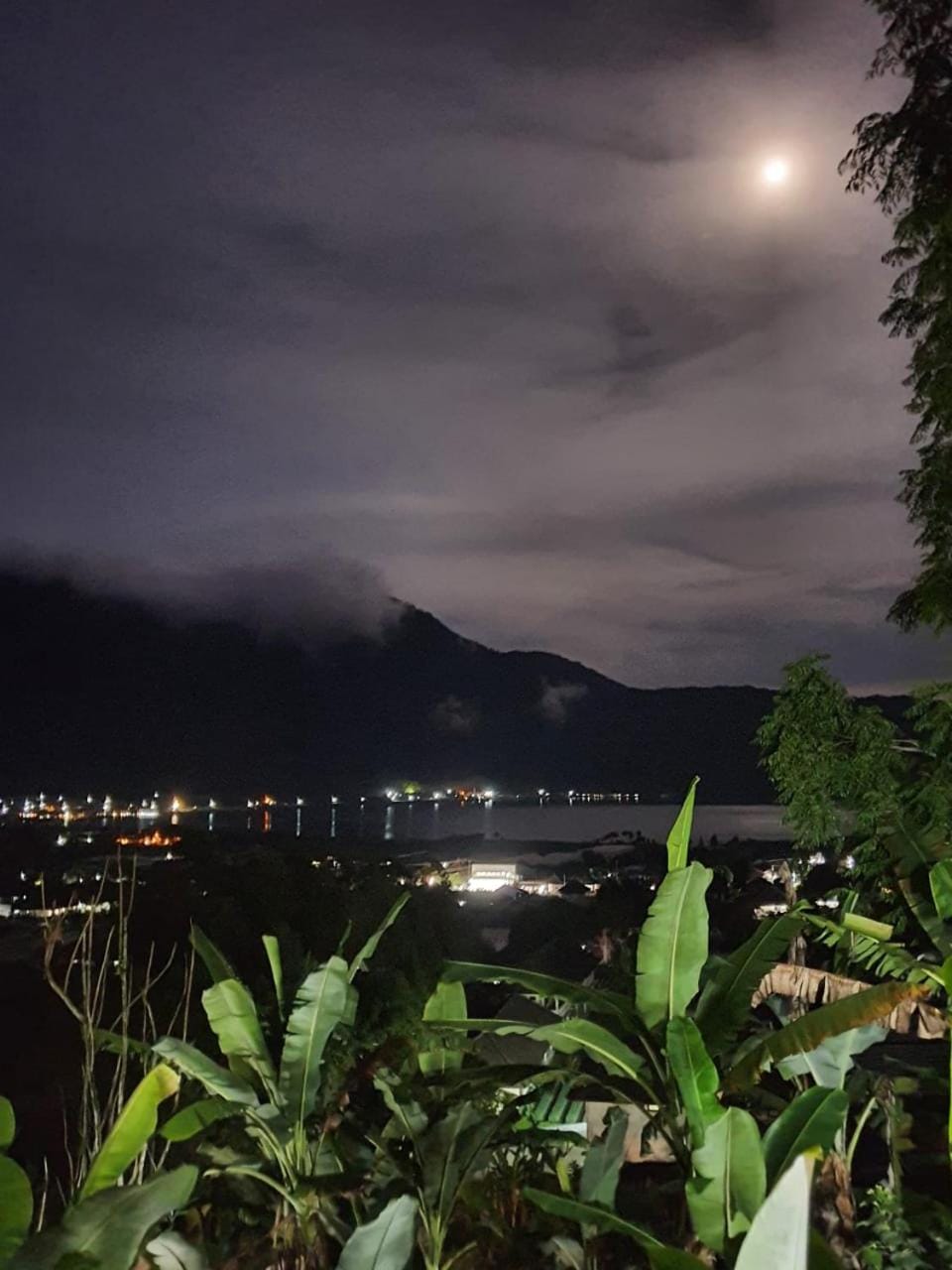ECO Bedugul adventurer camp Bed and Breakfast in Bali