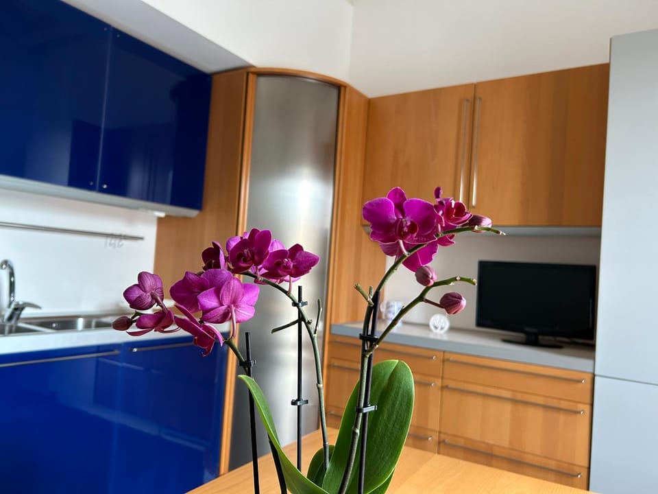 Living room, kitchen