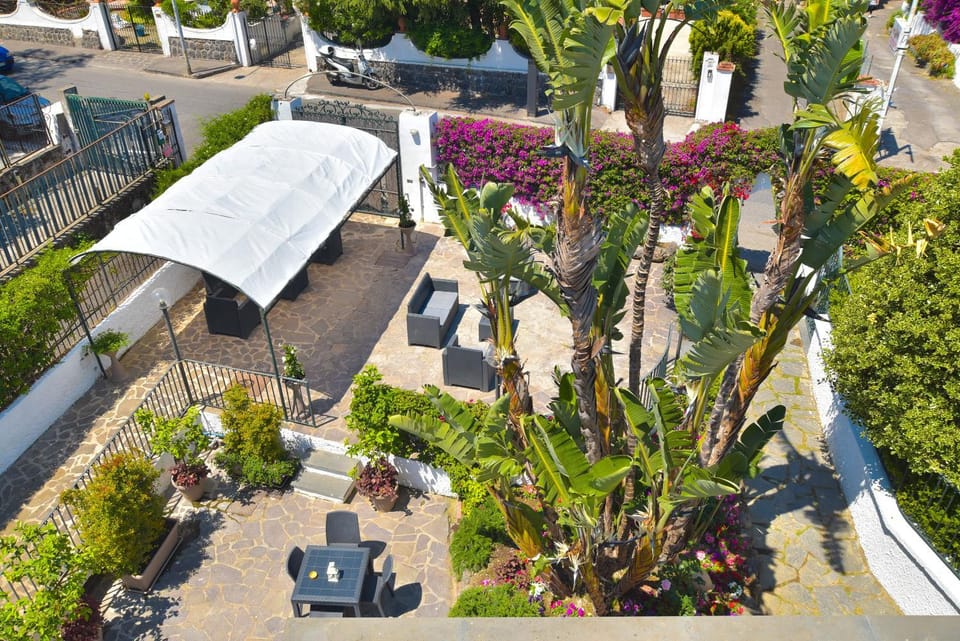 Spring, Garden, Garden view
