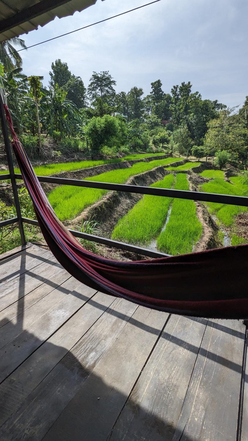 hornbill river cottage udawalwa Hotel in Southern Province