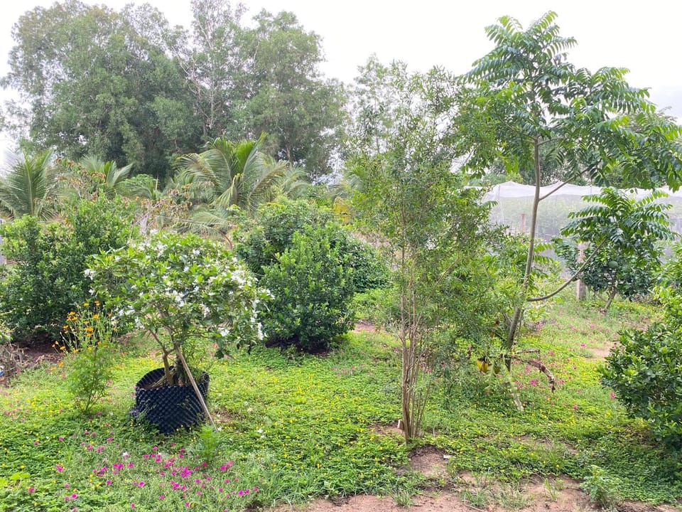 Summer Stations Homestay Binh Chau - Ho Coc Beach - Vung Tau Vacation rental in Bình Thuận Province