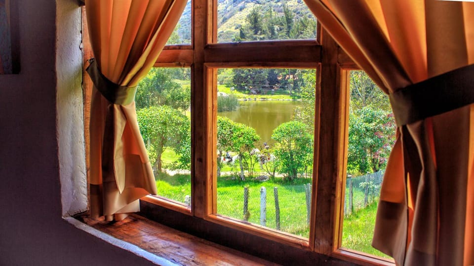 View (from property/room), Garden view