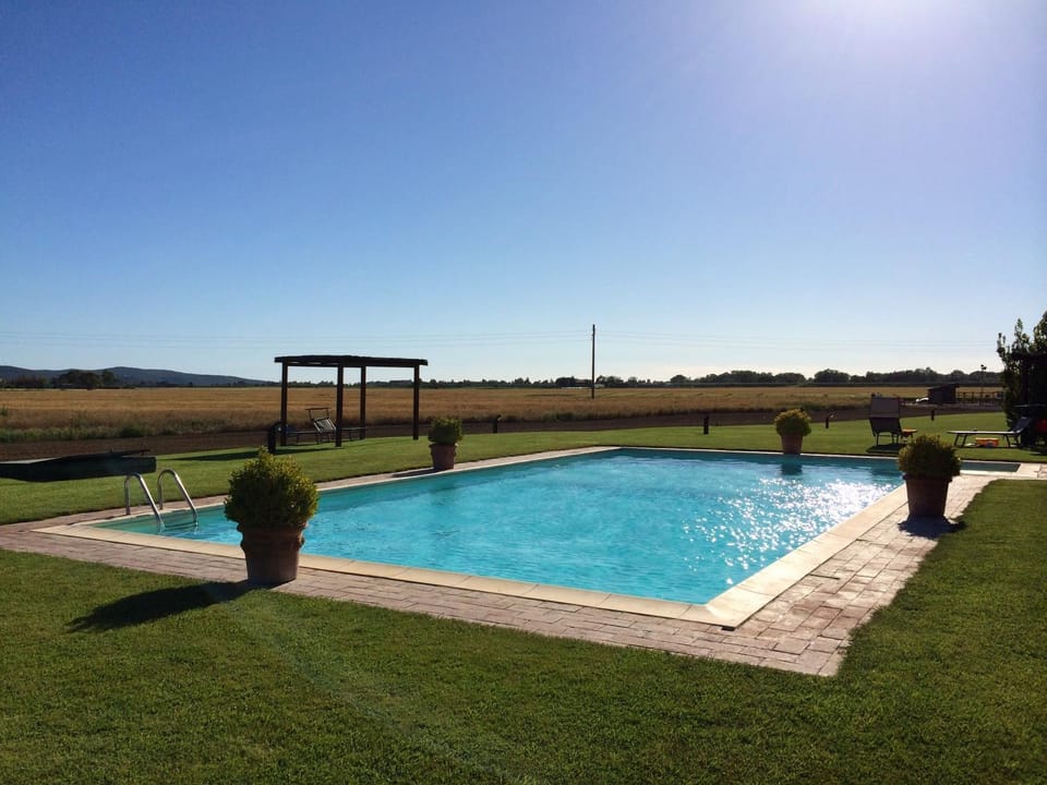 Swimming pool, Swimming pool